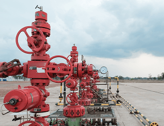 Petroleum Producers